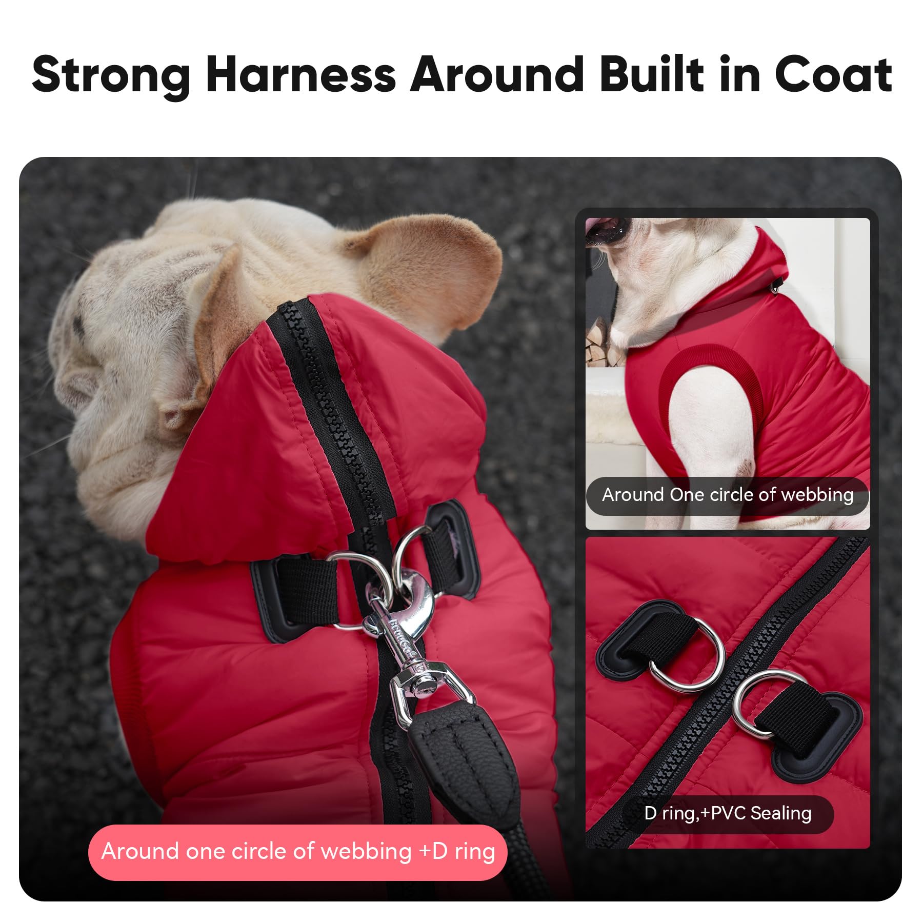 Vecomfy winter dog coat on-dog view showing hooded warmth for cold days.