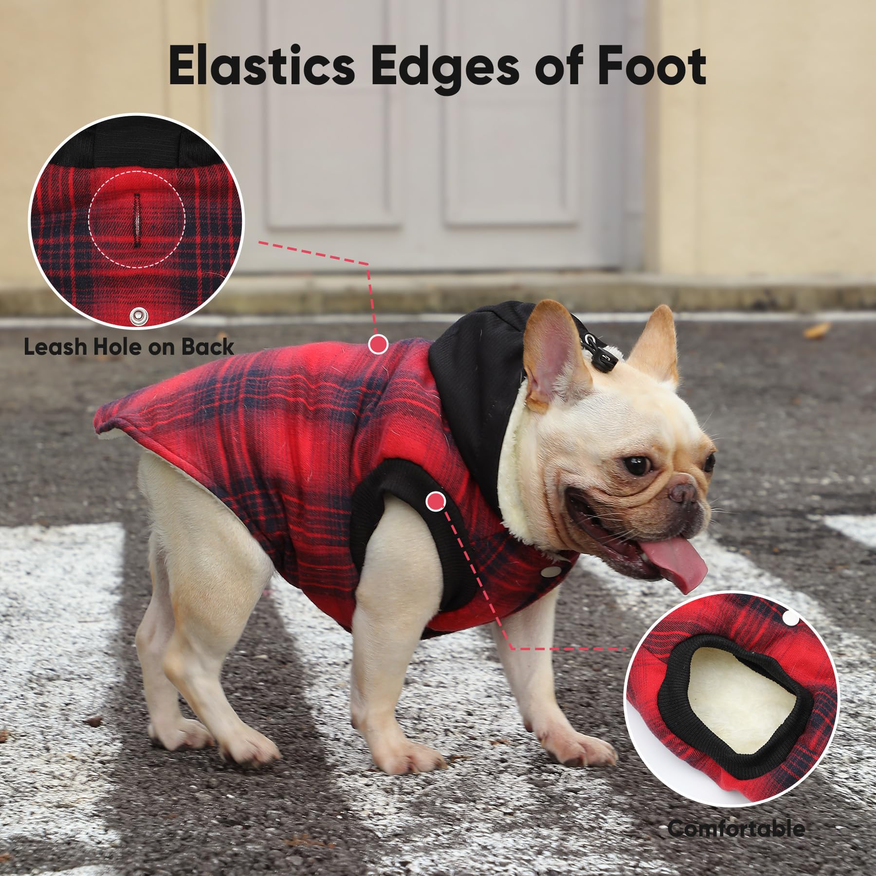 Vecomfy-winter-dog-hoodie-on-dog shows ready-for-winter outdoor wear.