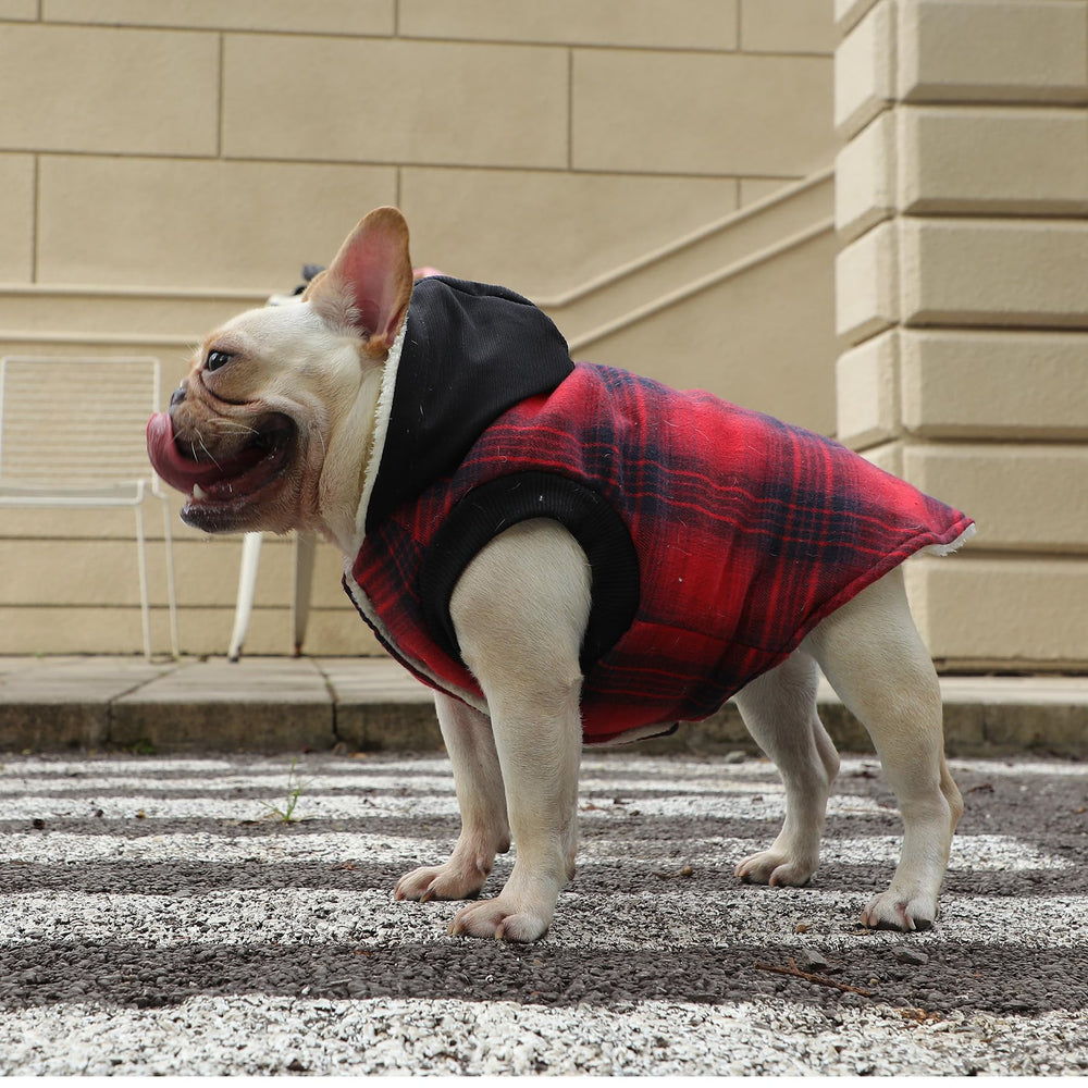 Vecomfy warm dog jacket; ideal for winter walks and indoor lounging.