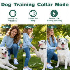 Veconix anti-bark mode showcases discreet, humane control to reduce nuisance barking.