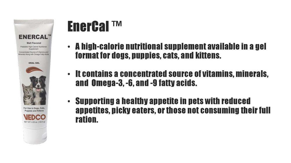 Vedco Enercal gel texture close-up, smooth malt-flavored formula
