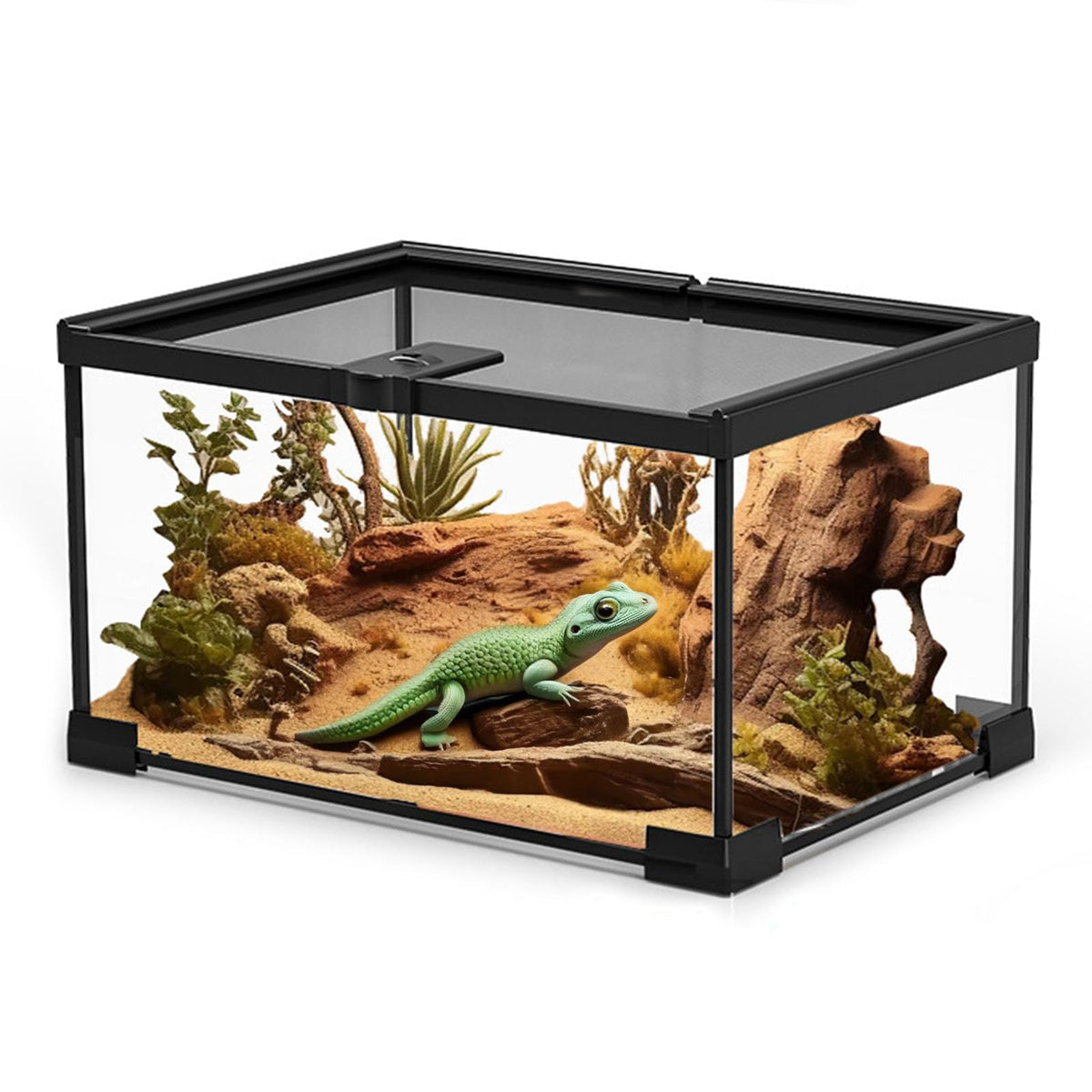 veectgoo small reptile glass terrarium 360 view showcases clear visibility for observation.
