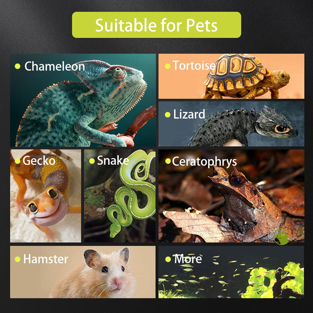 veectgoo small reptile glass terrarium ideal for small pets like geckos and tarantulas.
