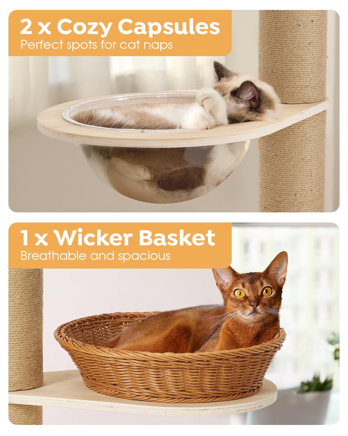 Veehoo space-saving footprint fits small rooms while maximizing vertical space