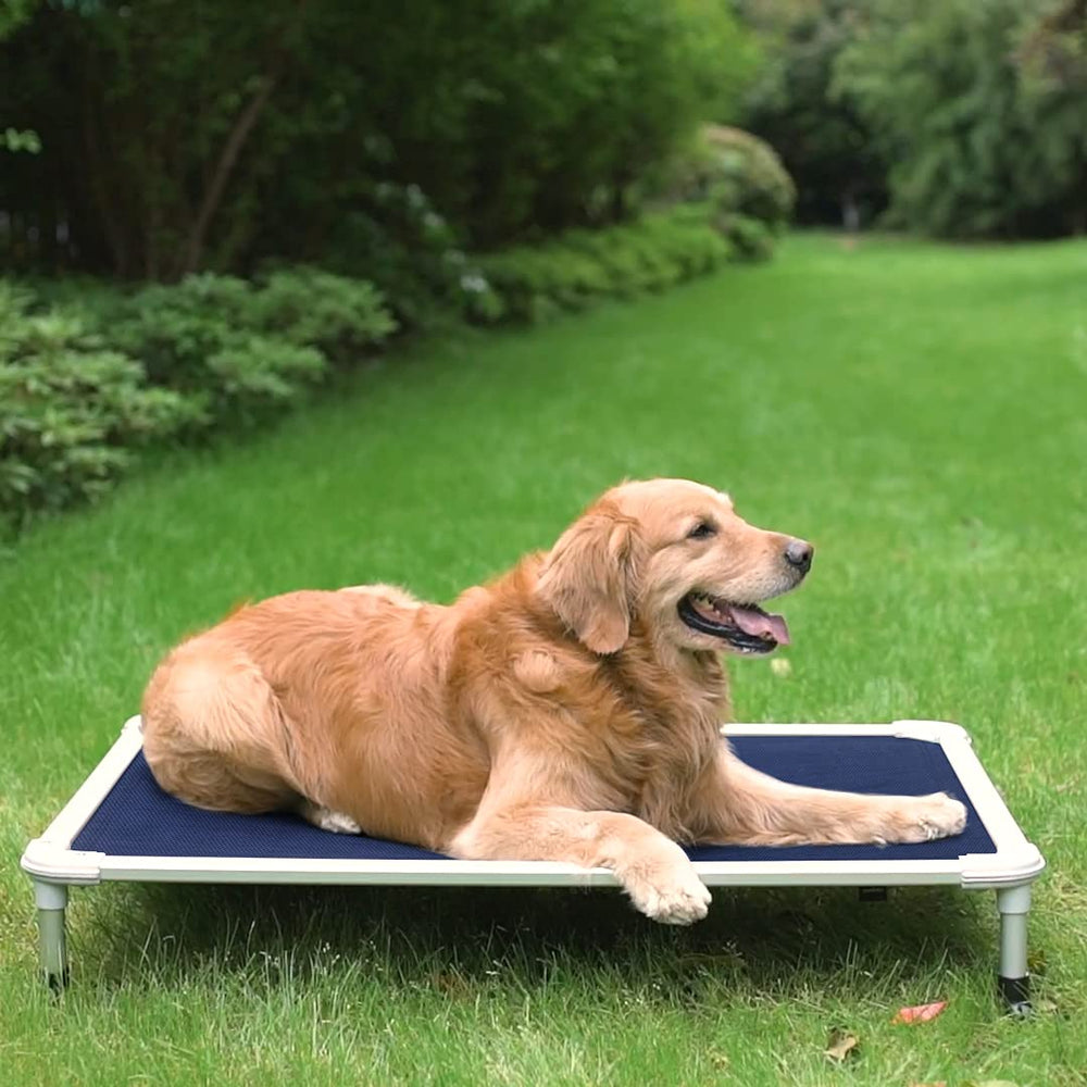 Veehoo blue fabric adds style and cooler rest anywhere.