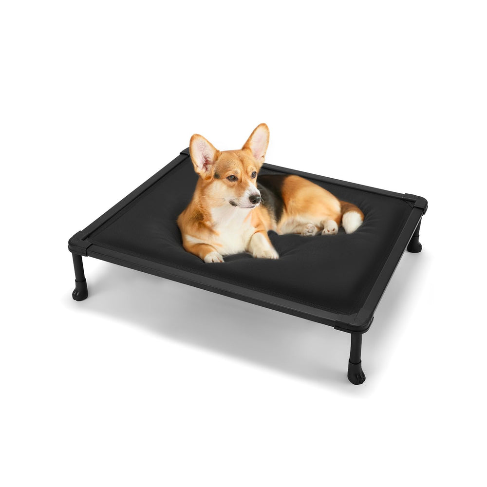Veehoo Chew-Proof Elevated Bed easy-clean routine shown with hose-down.
