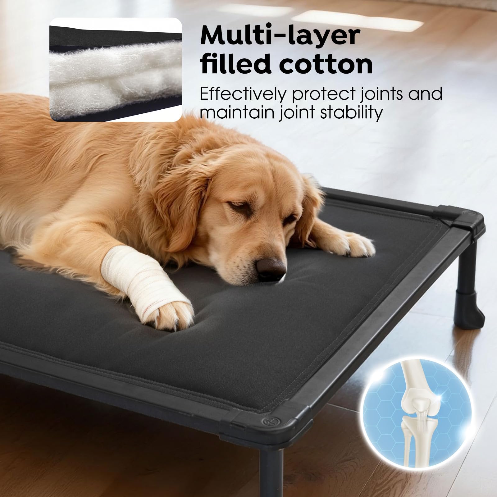 Veehoo Chew-Proof Elevated Bed metal-frame close-up highlights chew-resistant construction.
