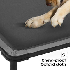 Veehoo chewproof corners highlight anti-digging protection during indoor playtime.
