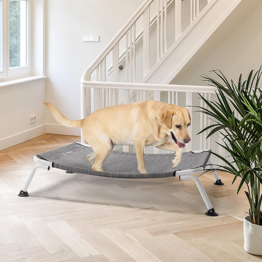 Veehoo off-ground 8-inch height shields paws from damp ground and debris