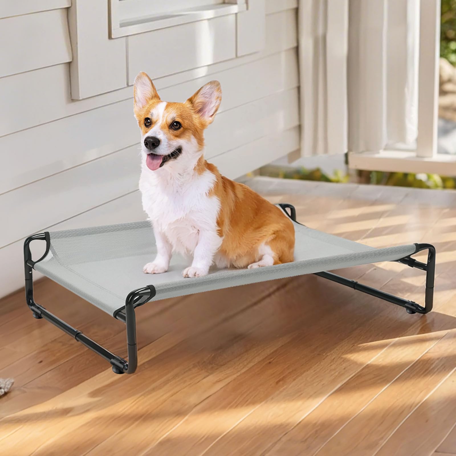 Veehoo dog lounging on elevated cot in outdoor setting