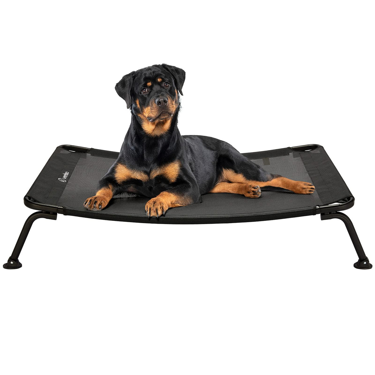 Veehoo outdoor elevated dog bed setup for large breeds outdoors.