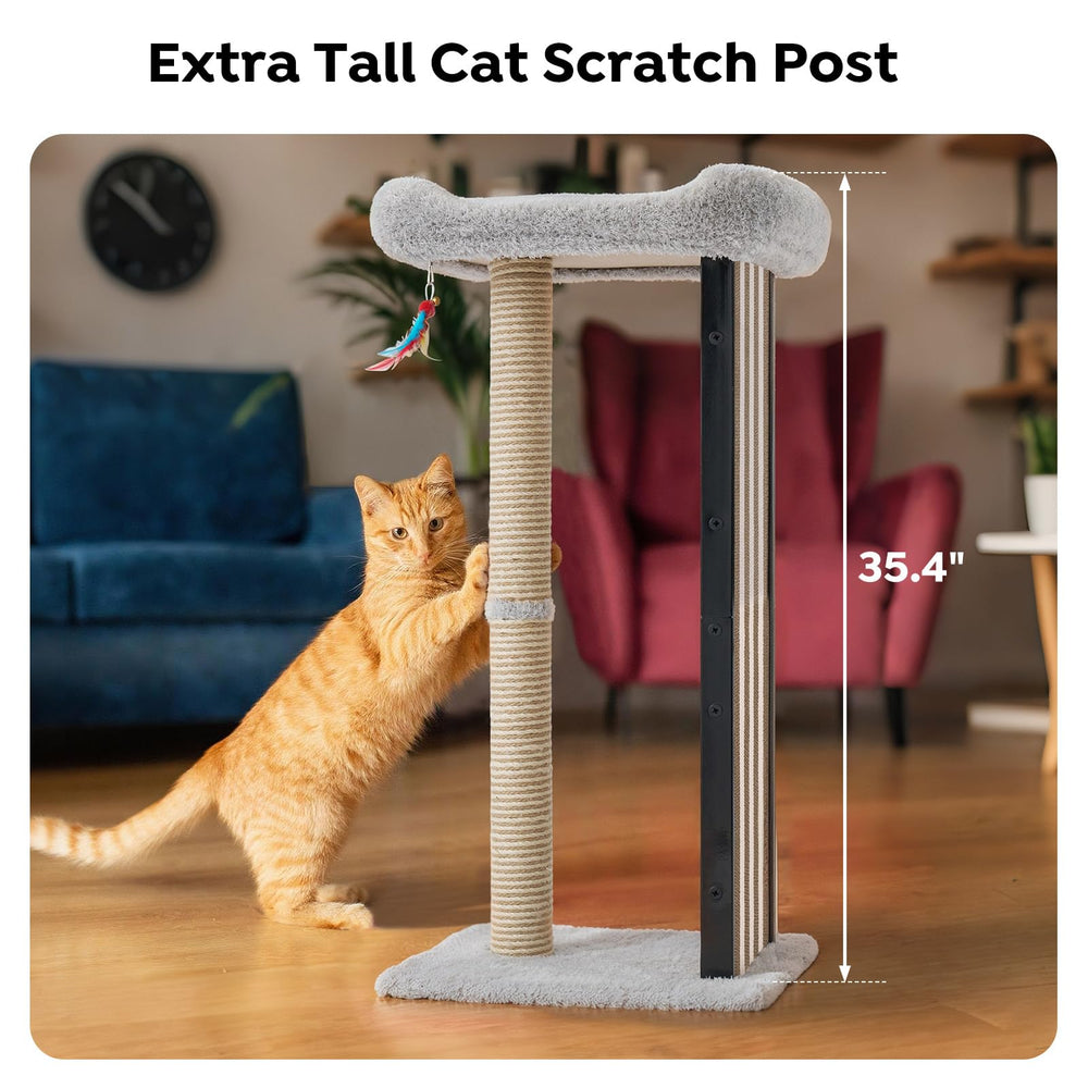 Veehoo replaceable scratch pads extend product life for busy homes.