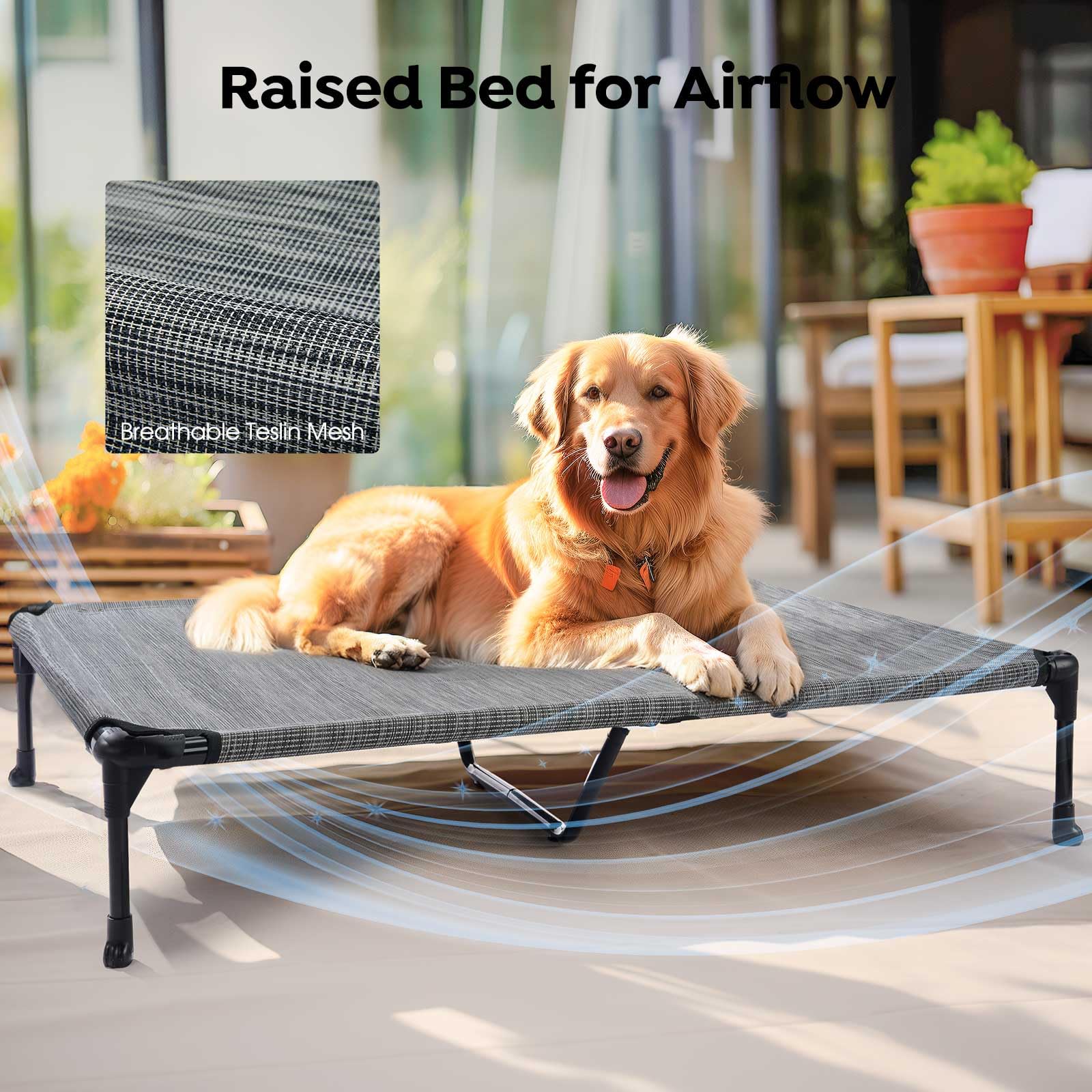 Veehoo XL Dimensions 49x33 inches fits large breeds.
