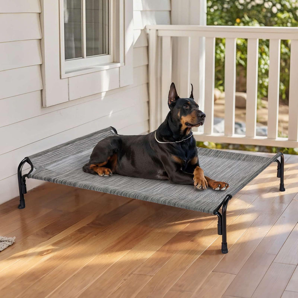 Veehoo XL bed with snap-on assembly illustrates quick setup.