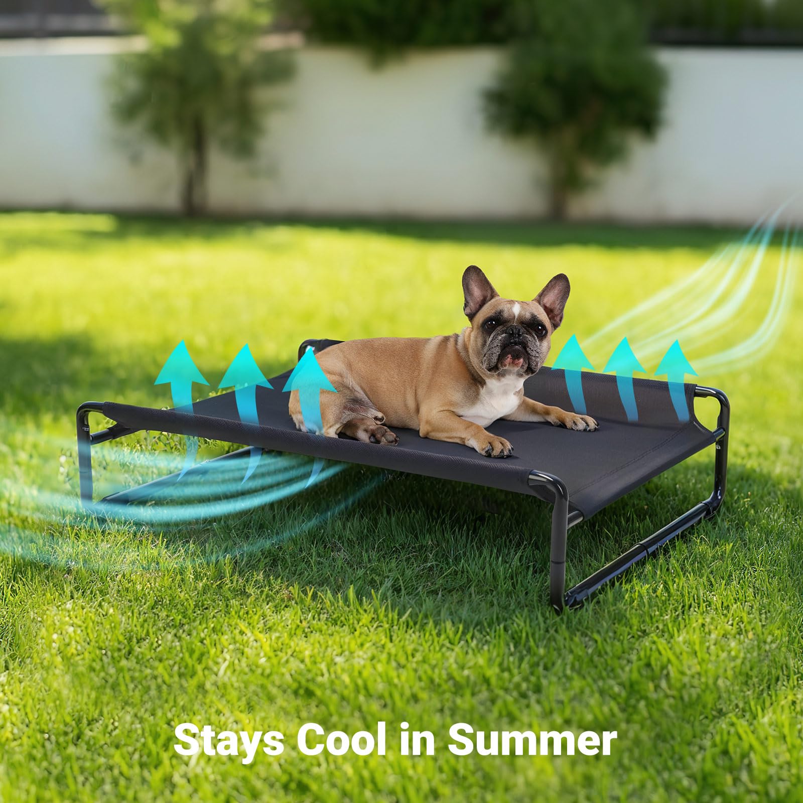Veehoo 60-lb weight capacity detail shows suitability for medium dogs.