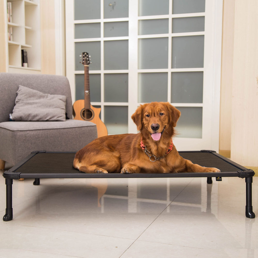 Veehoo bed brown color—neutral finish that fits any space.