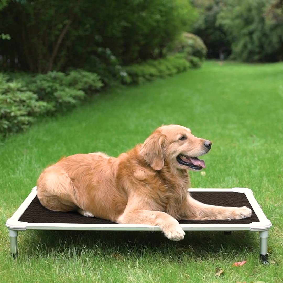 Veehoo chew-proof elevated dog bed assembly tools simplify setup and portability.