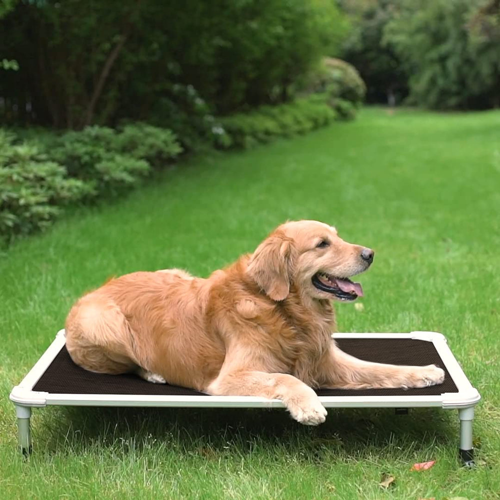 Veehoo chew-proof elevated dog bed assembly tools simplify setup and portability.