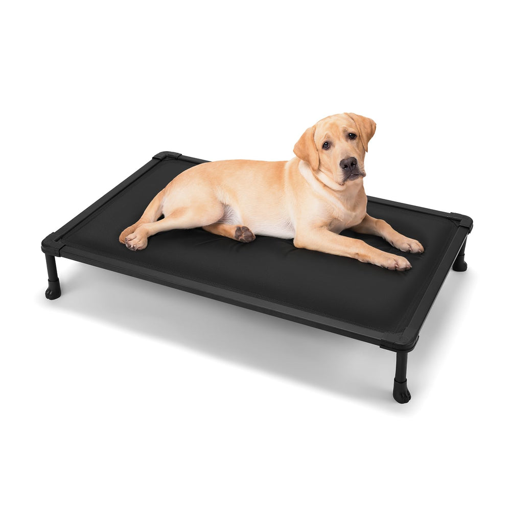 Veehoo chew-proof elevated dog bed easy to clean and maintain for busy households.