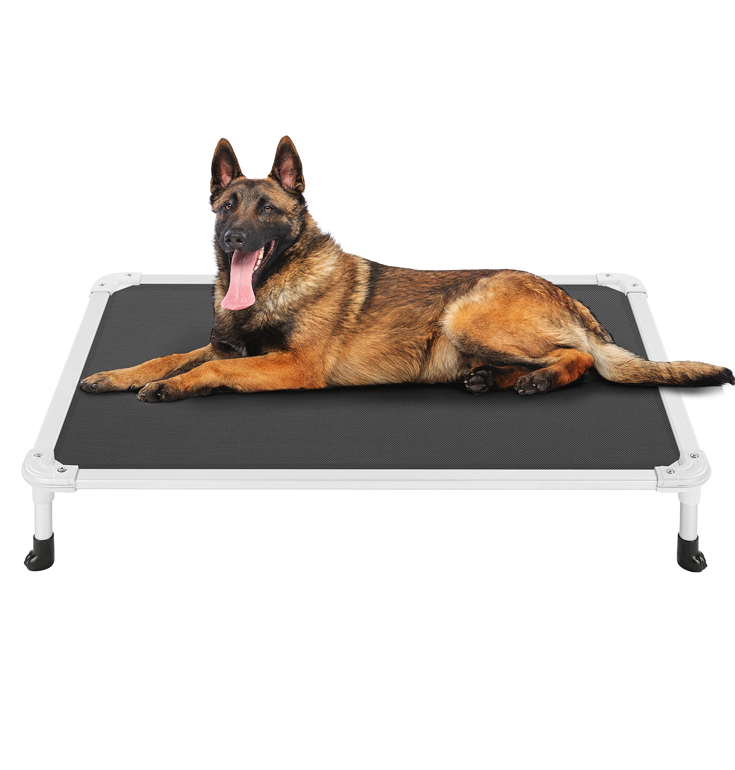 Veehoo chew-proof elevated dog bed frame shows rustless aluminum for durable indoor use.