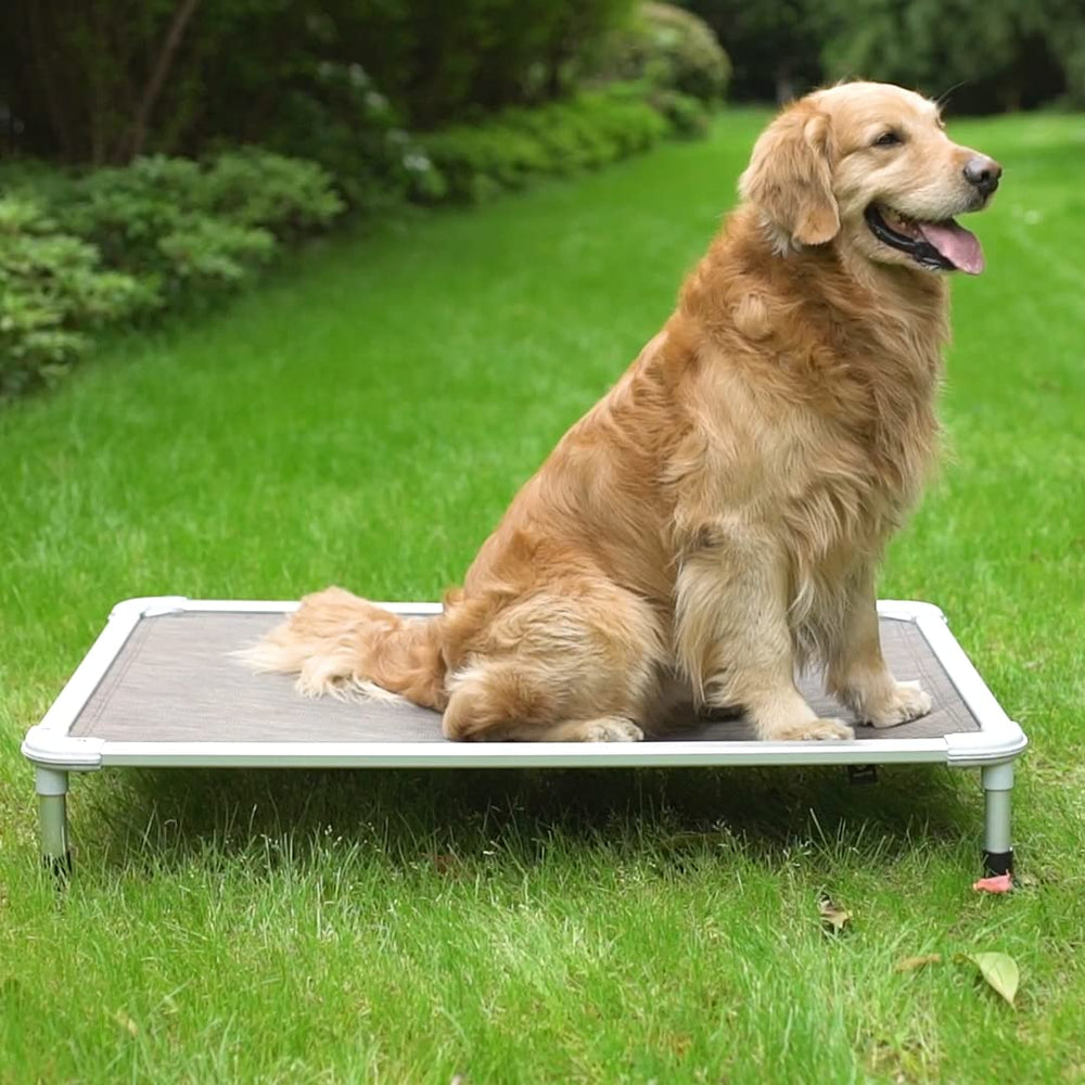 Veehoo portable elevated bed ideal for camping, picnics, and travel.