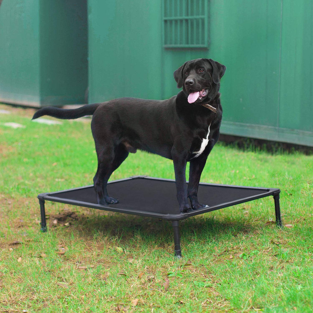 Veehoo portable elevated bed for indoor, outdoor, and travel.