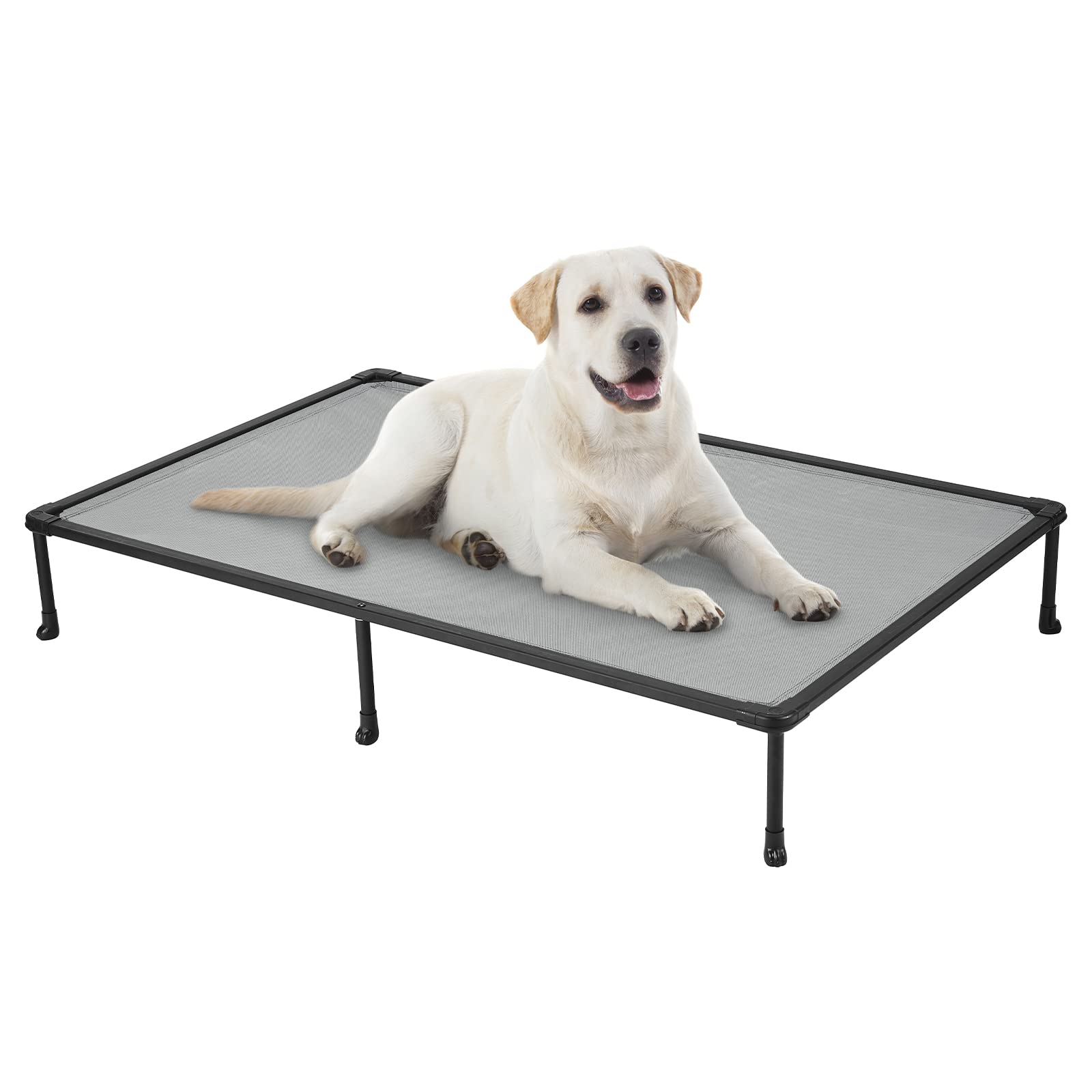 Veehoo chewproof elevated dog bed showing 59x37 size and strong frame for large dogs
