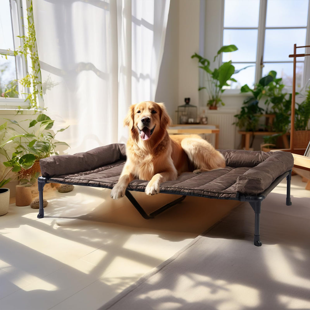 Veehoo cooling elevated dog bed XL front view shows spacious frame for large breeds