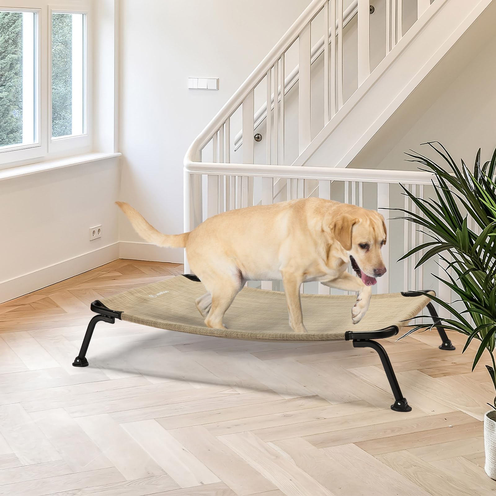 Veehoo 42 inch bed close-up shows reinforced seams and sturdy frame for up to 120 lbs.