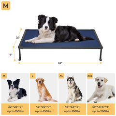 Veehoo elevated 7-inch-off-ground design enhances airflow for a dry rest.
