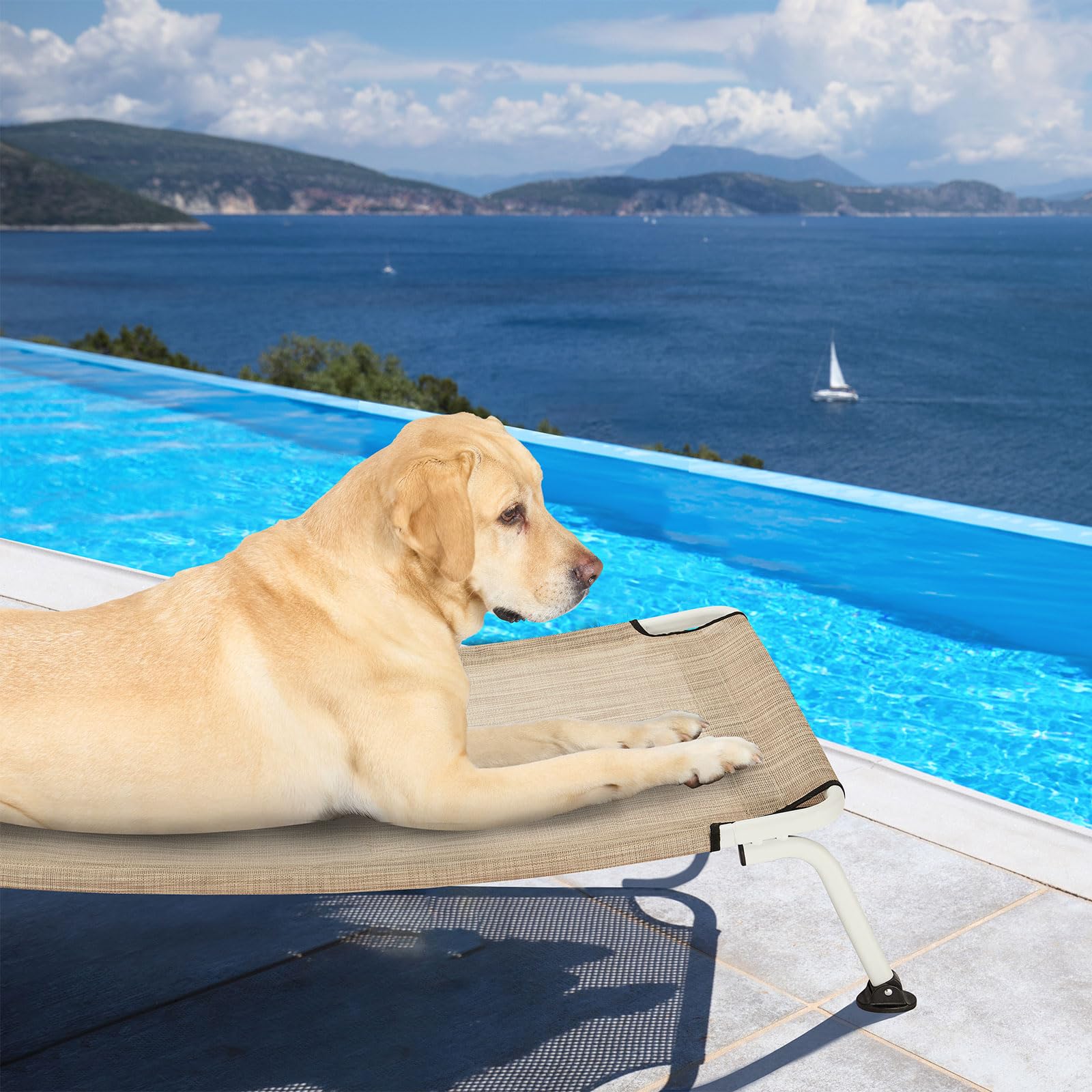 Veehoo elevated dog bed ready for camping adventures and travel