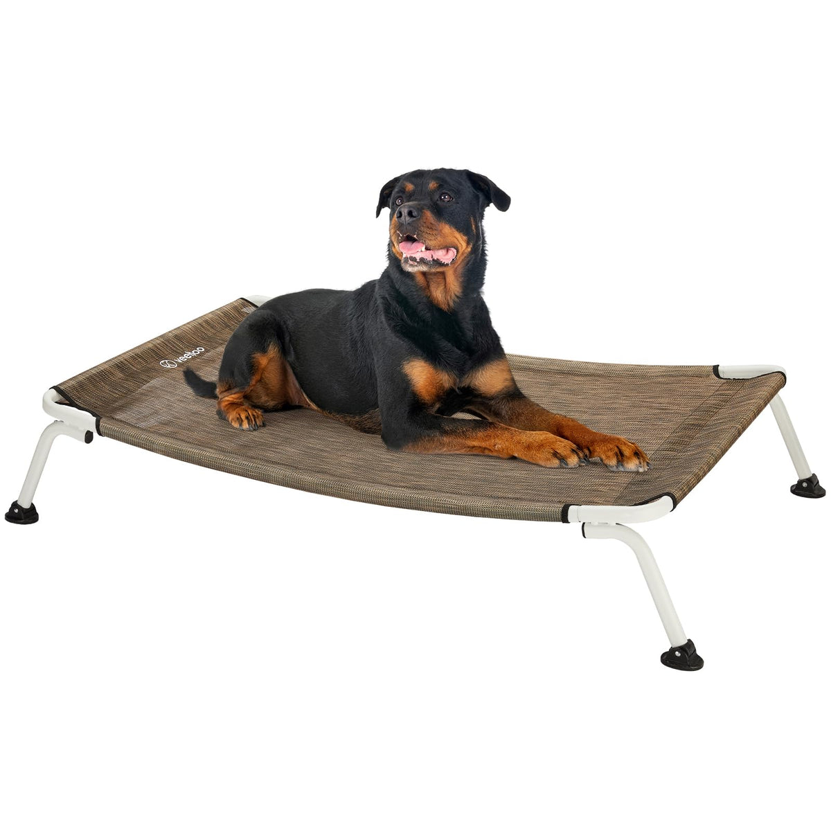 Veehoo elevated dog bed outdoors keeps pets off dirt and debris during playtime