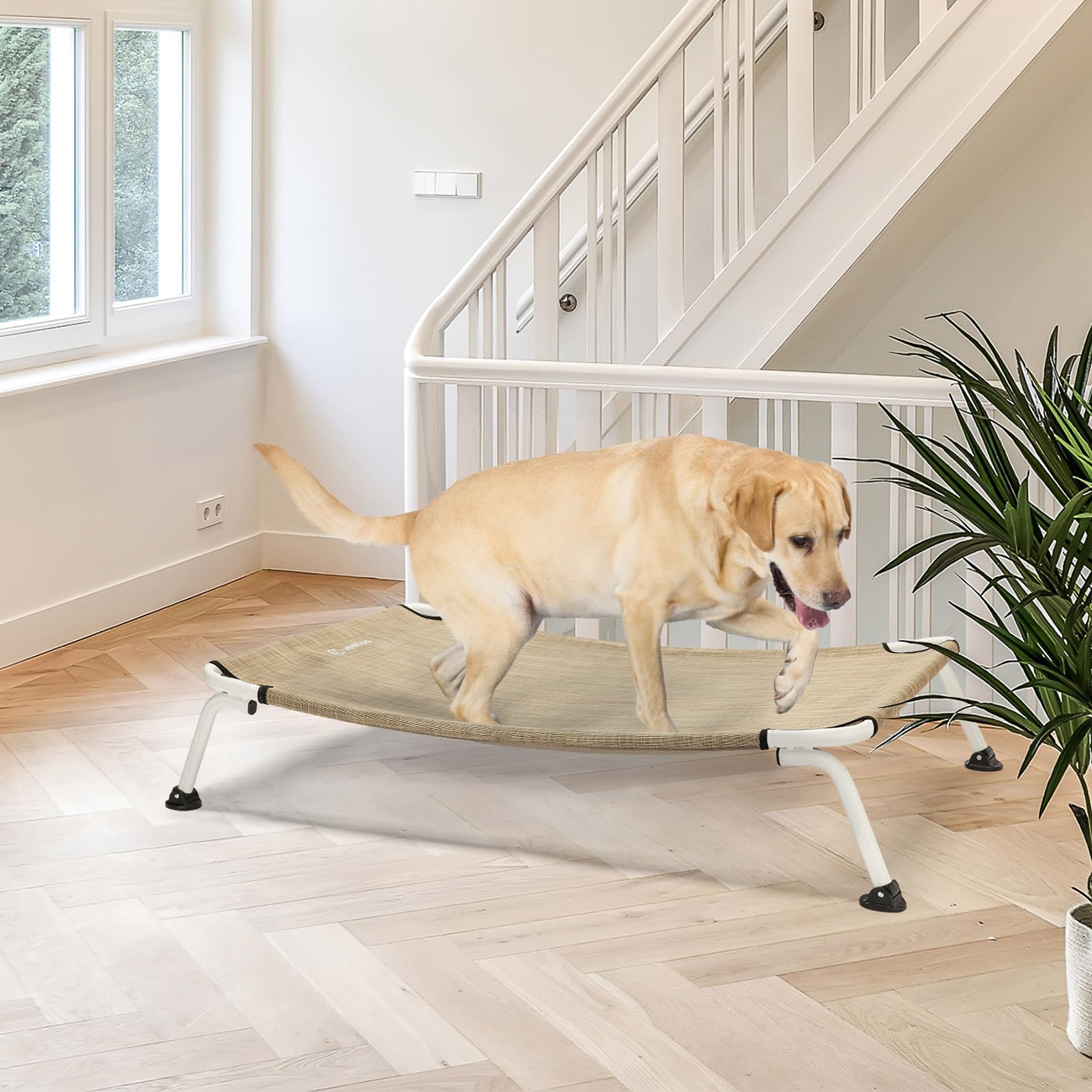 Veehoo dog bed on patio with 8-inch height for debris protection