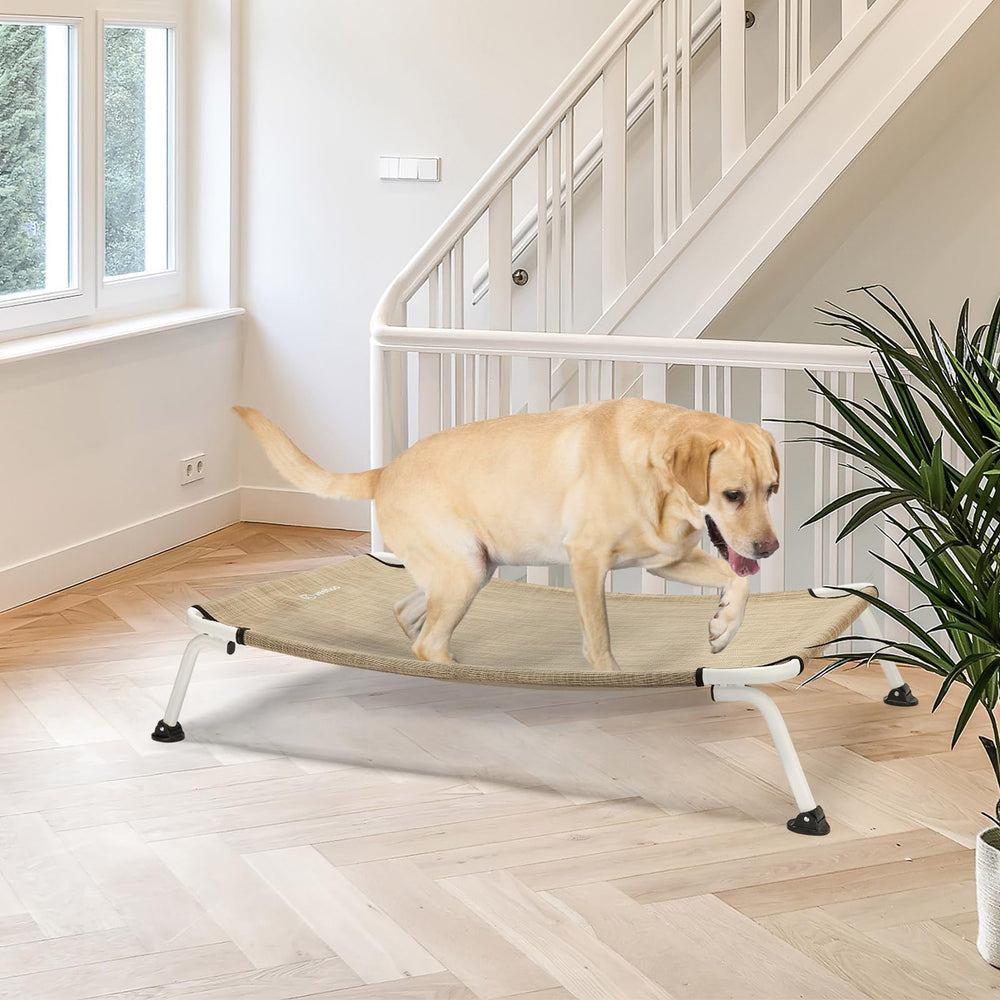 Veehoo dog bed on patio with 8-inch height for debris protection