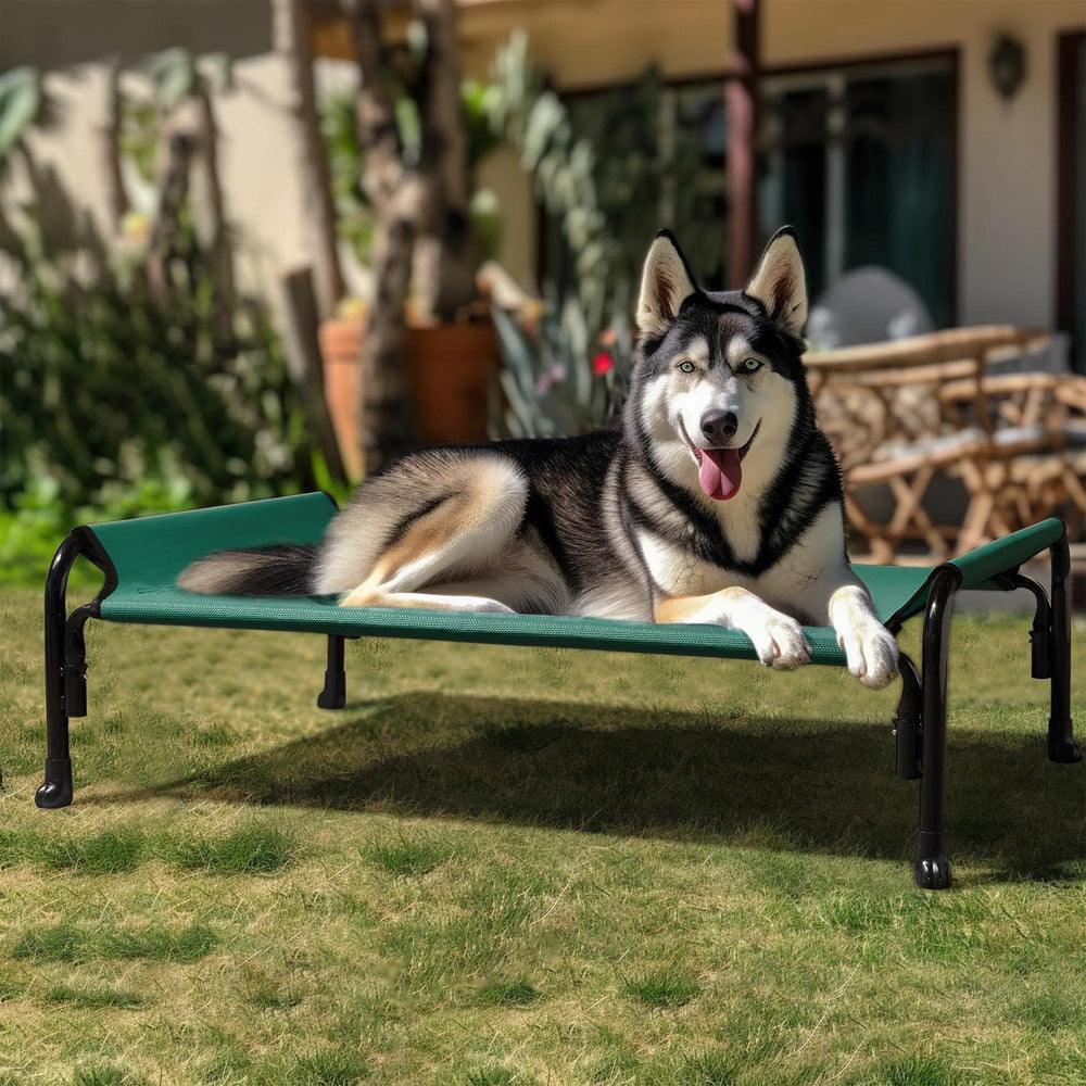 Veehoo elevated bed suitable for indoor and outdoor use, camping, or picnics.