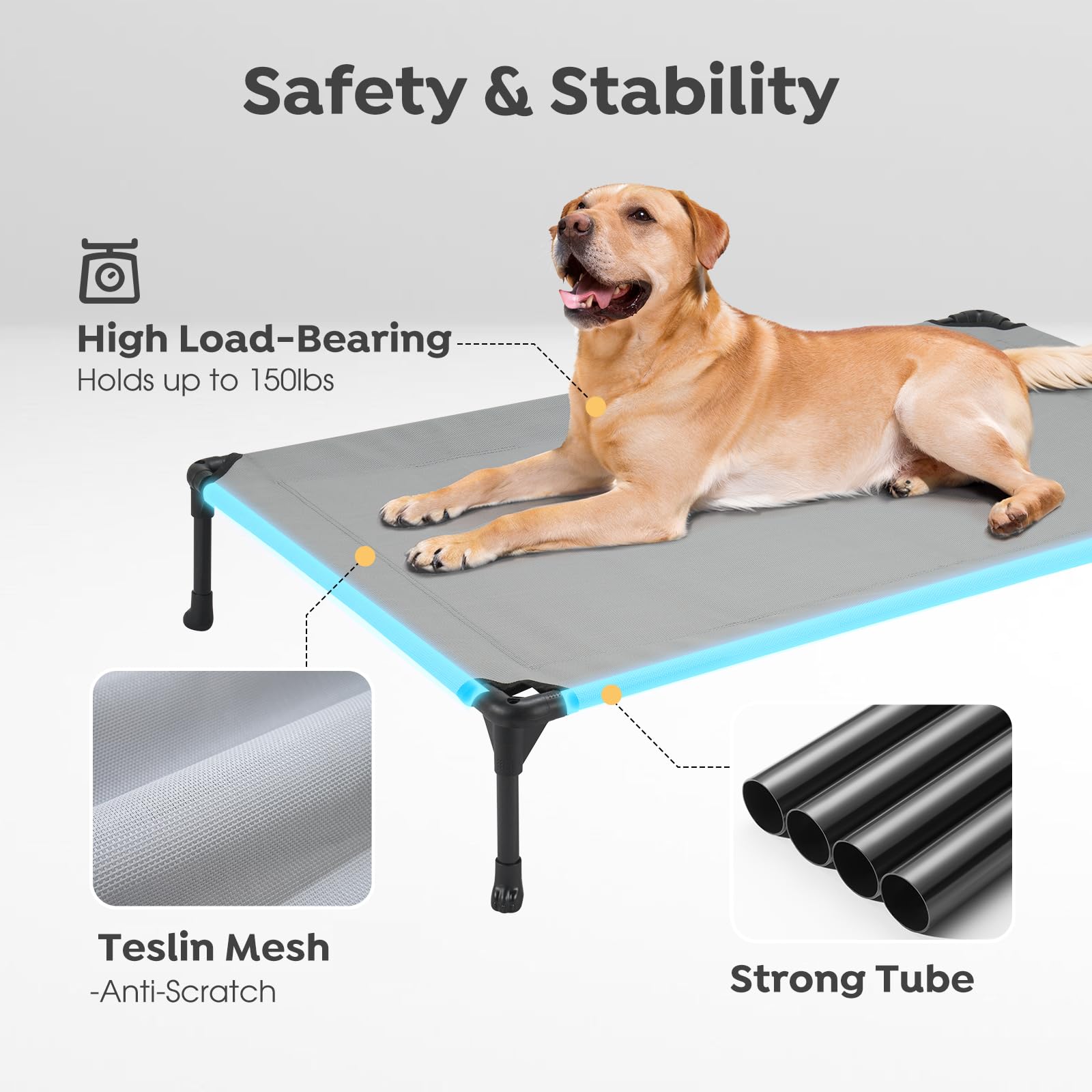 Veehoo large dog use demonstrates suitability for big breeds.