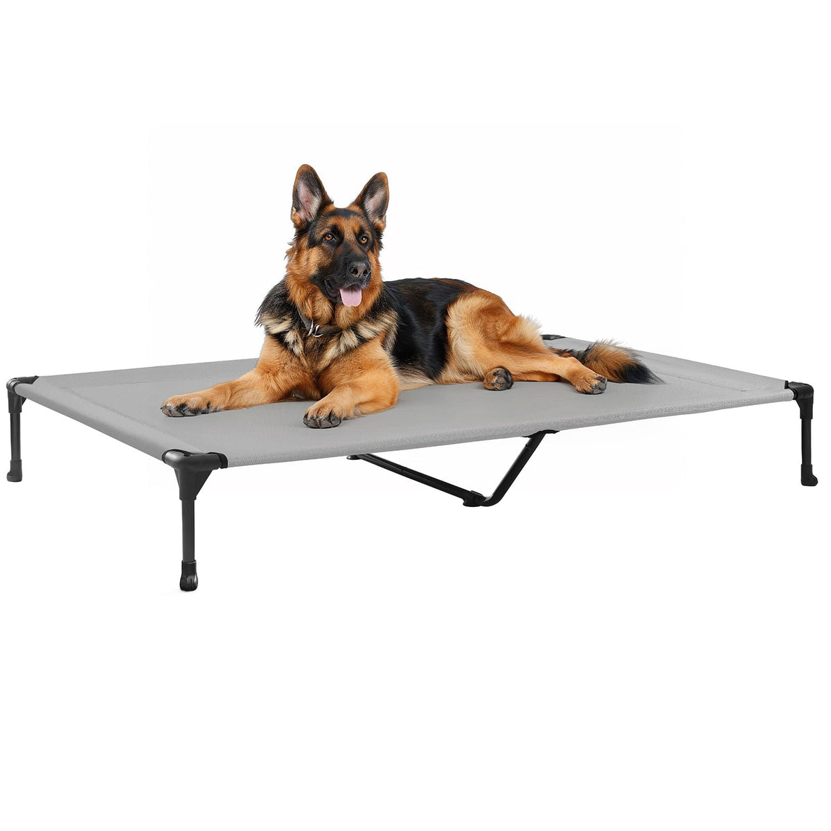 Veehoo outdoor elevated dog bed 49x33 setup for quick indoor or outdoor use.