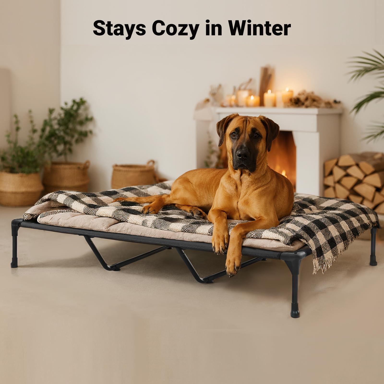 Veehoo XXL bed highlights 59x37.5-inch footprint with non-slip feet for stable outdoor use.