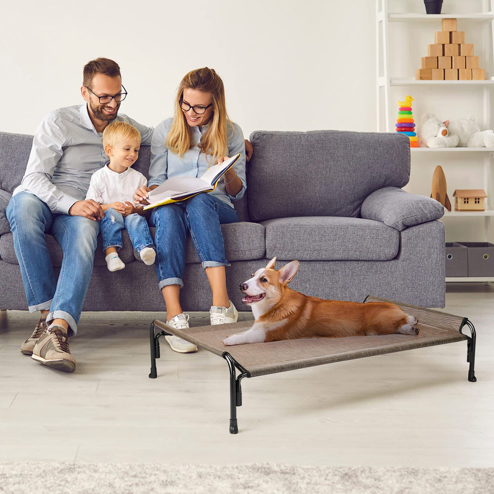 Veehoo in-use shot with dog resting on bed for cooling comfort during playtime