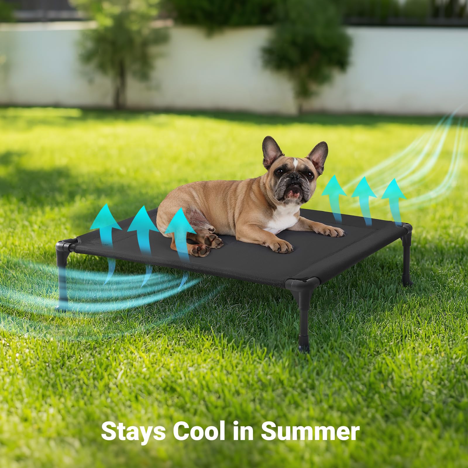 Veehoo outdoor elevated dog bed small blue demonstrates portable design for indoor and outdoor use