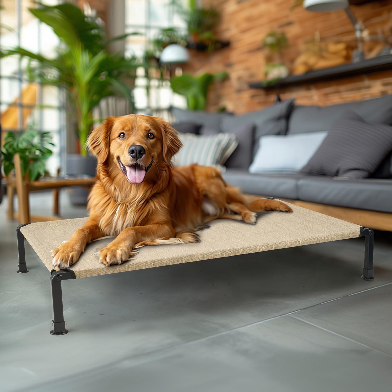 Veehoo oversized 41x27-inch bed fits large breeds comfortably.