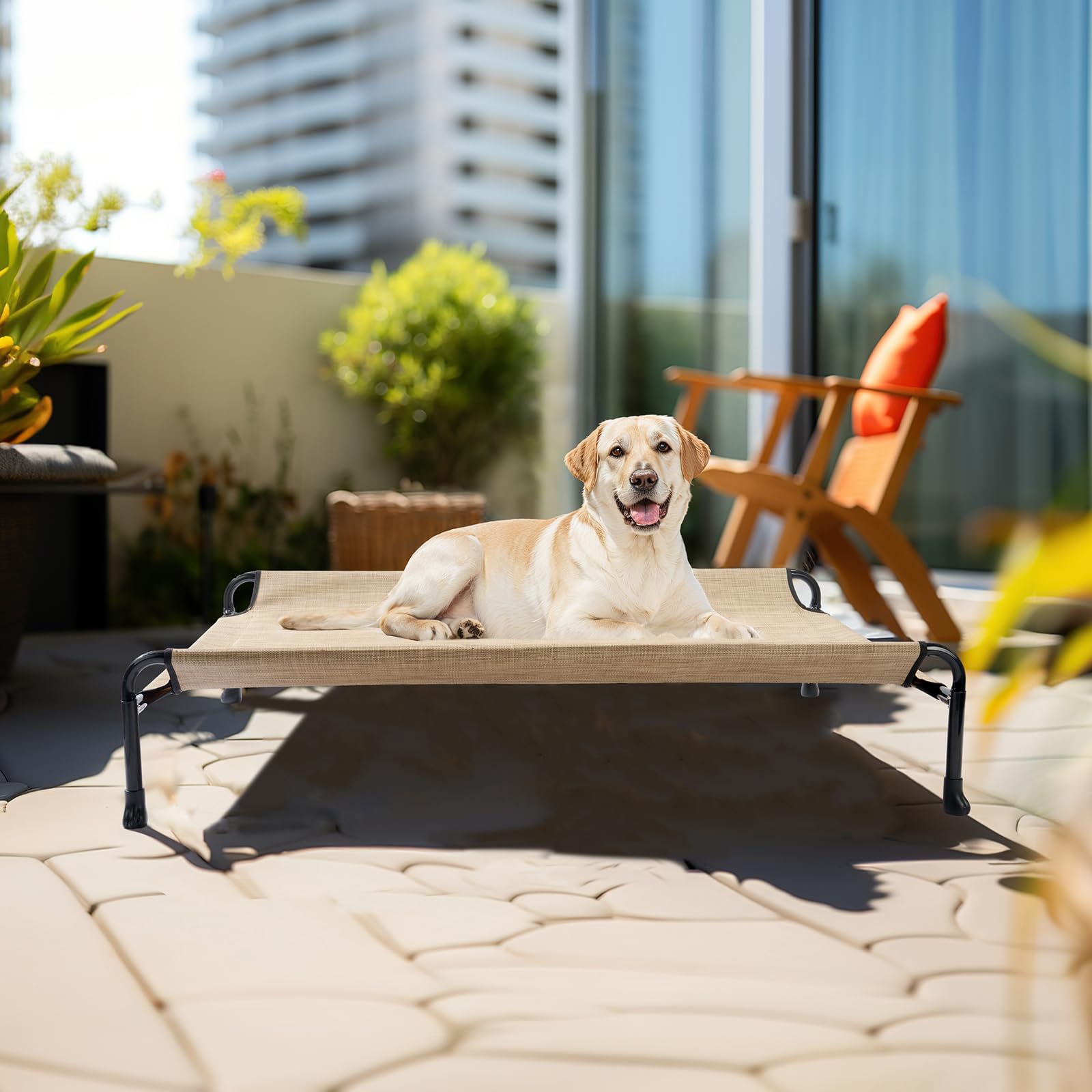 Veehoo portable dog bed with tool-free setup.