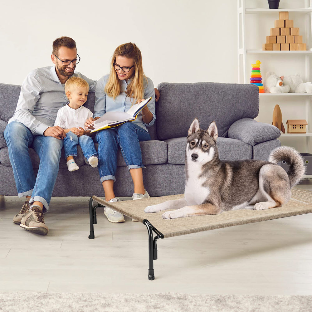 Veehoo portable dog bed in use highlights easy transport for trips