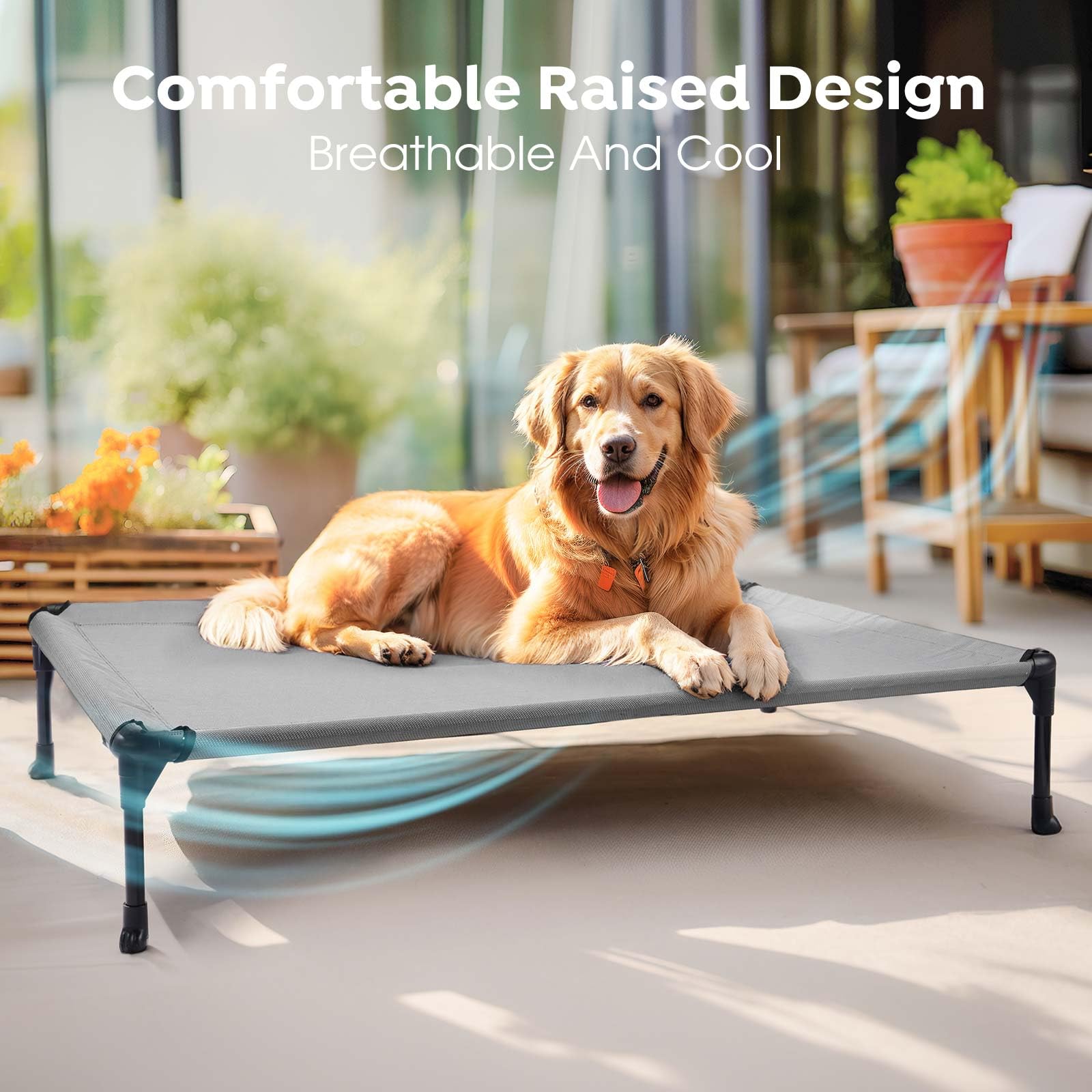 Veehoo powder-coated steel frame ensures durable stability for small dogs.