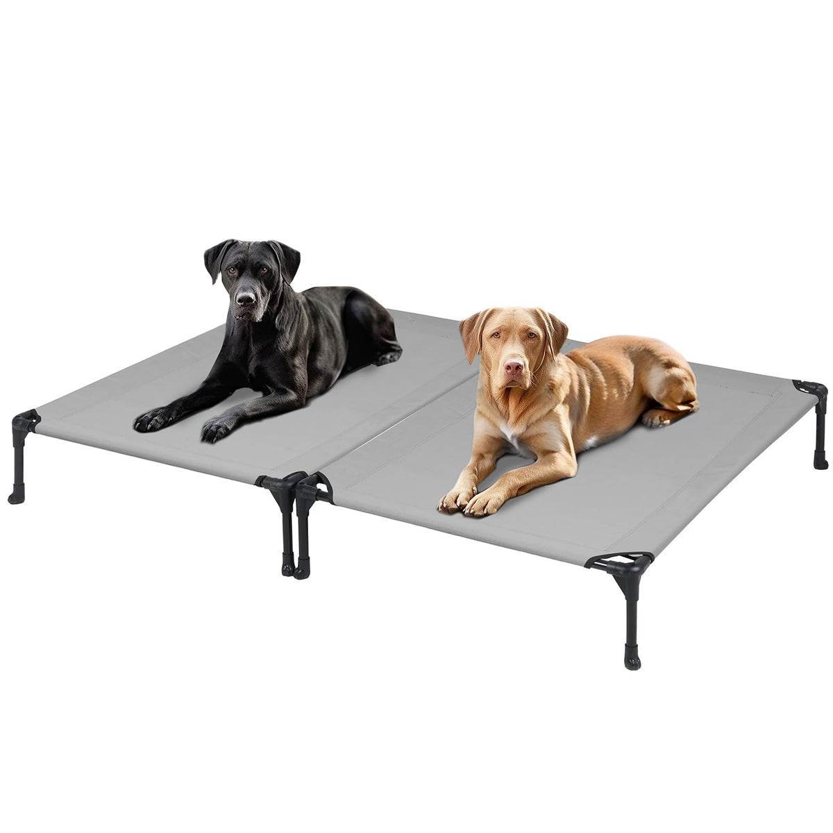 Veehoo raised dog bed setup shows two beds ready for cozy side-by-side lounging.