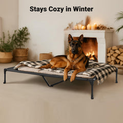 Veehoo raised pet cot used indoors and outdoors for versatile lounging