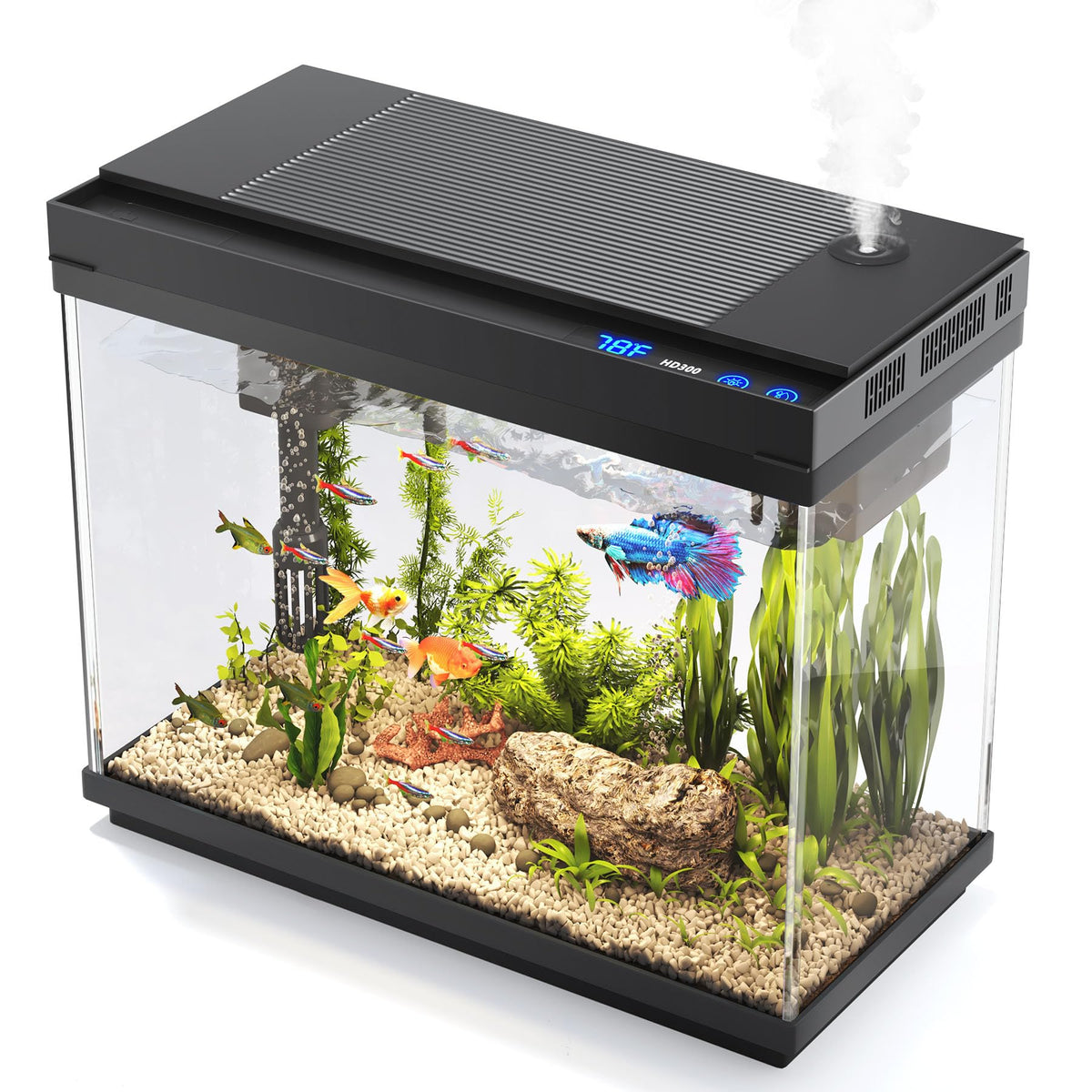 Vehipa fish tank 2.4-gallon setup shows compact decor with calm viewing from the side.