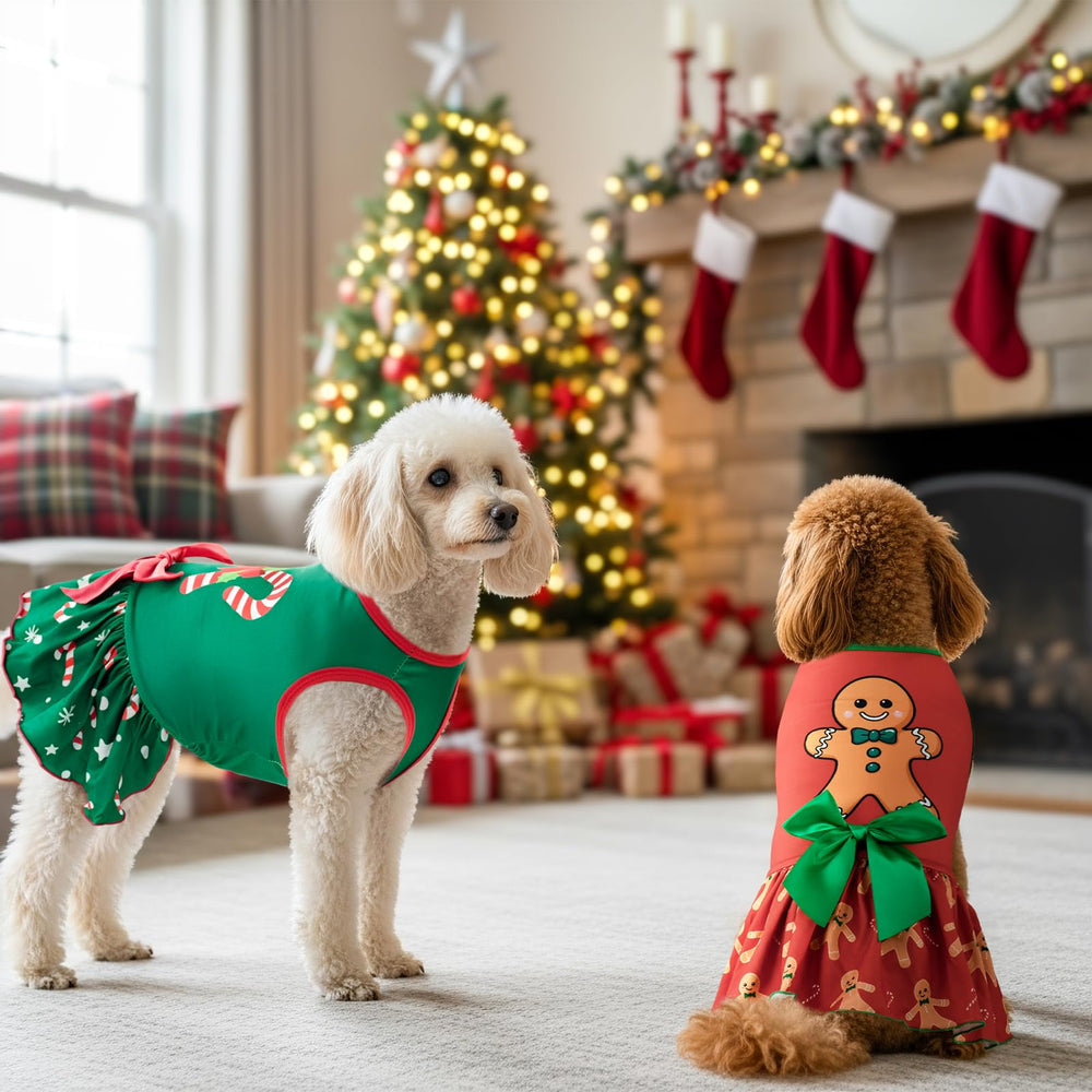 Vehomy bowknot dress captures festive pet party-ready look.