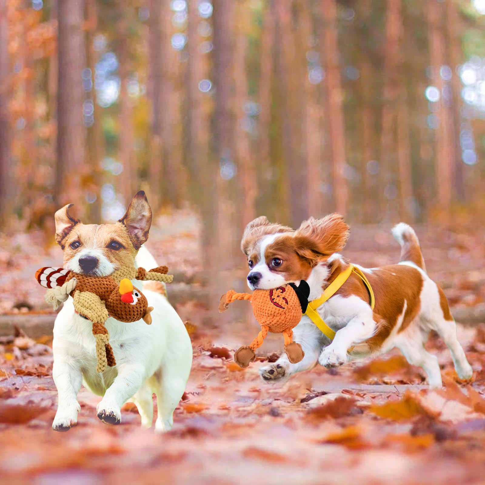 Vehomy two-piece set for small to medium dogs, durable toys for fetch and tug.