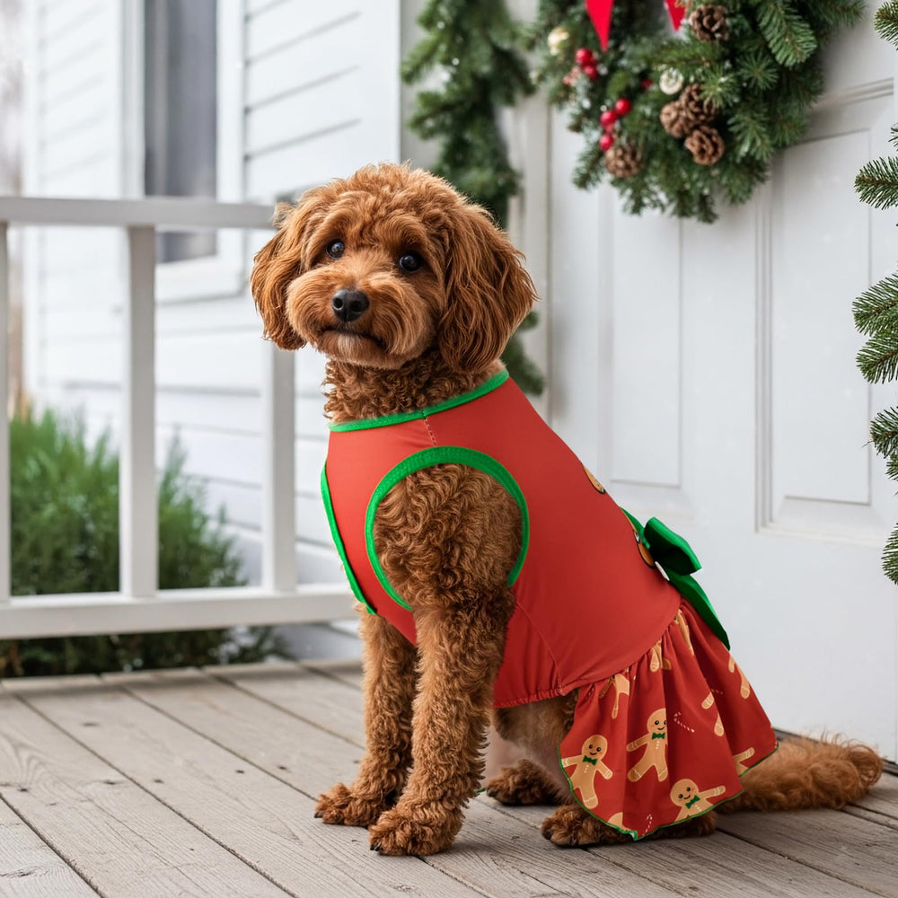 Vehomy two-pack dresses shown on a small-breed model for easy styling.